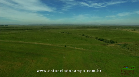 DOS EÓLICOS VIRA P FAZENDA_Moment.00_00_02_15.Quadro543_9cd1133e62f2bfabd9c3801a27fc07a827bf887b.jpg